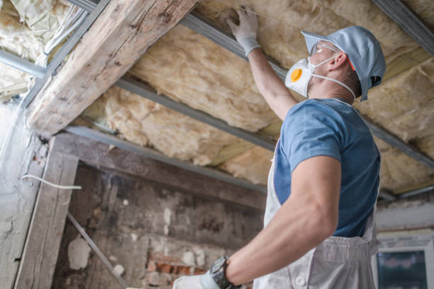 Best Eco-Friendly Insulation in Hustisford, WI