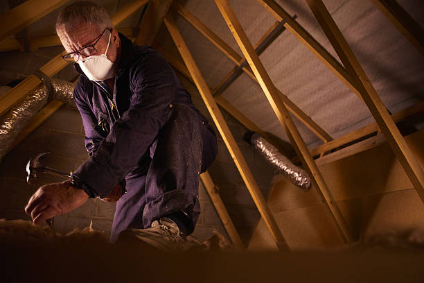 Best Energy Efficiency Insulation in Hustisford, WI
